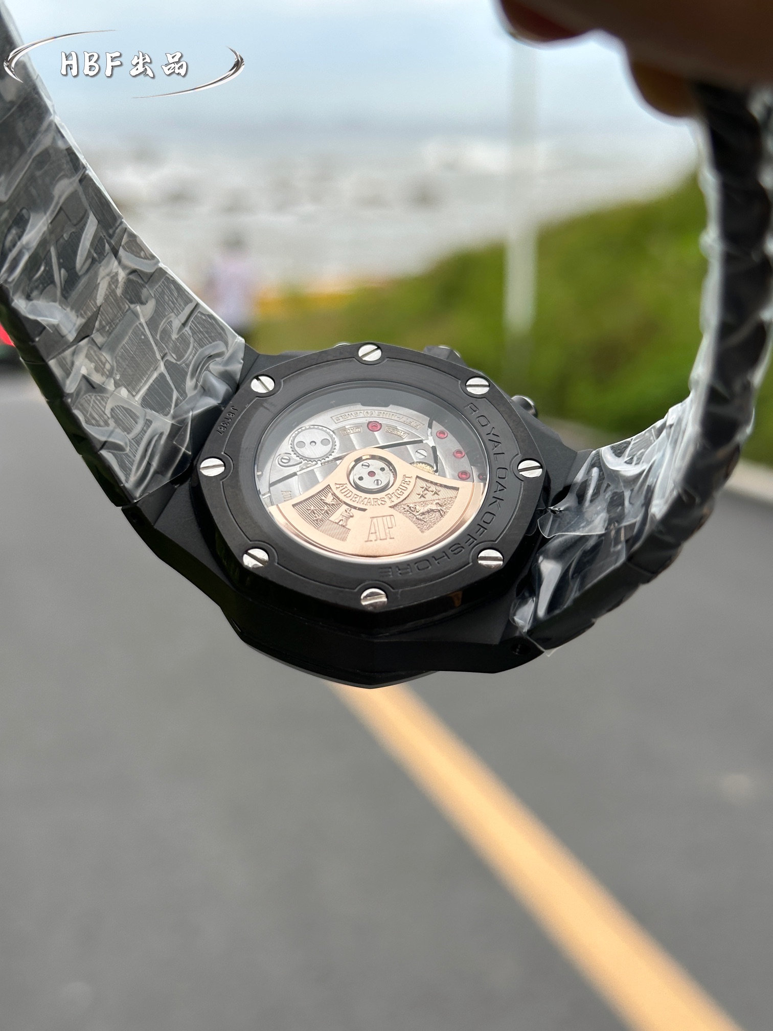 Audemars Piguet watch